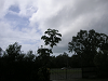 s_A_PICT0048_thumb.png
